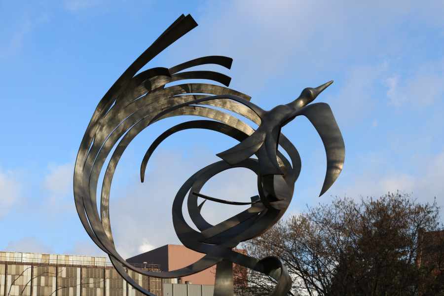 Martin Schepers - Phoenixsee Dortmund - IMG 0645